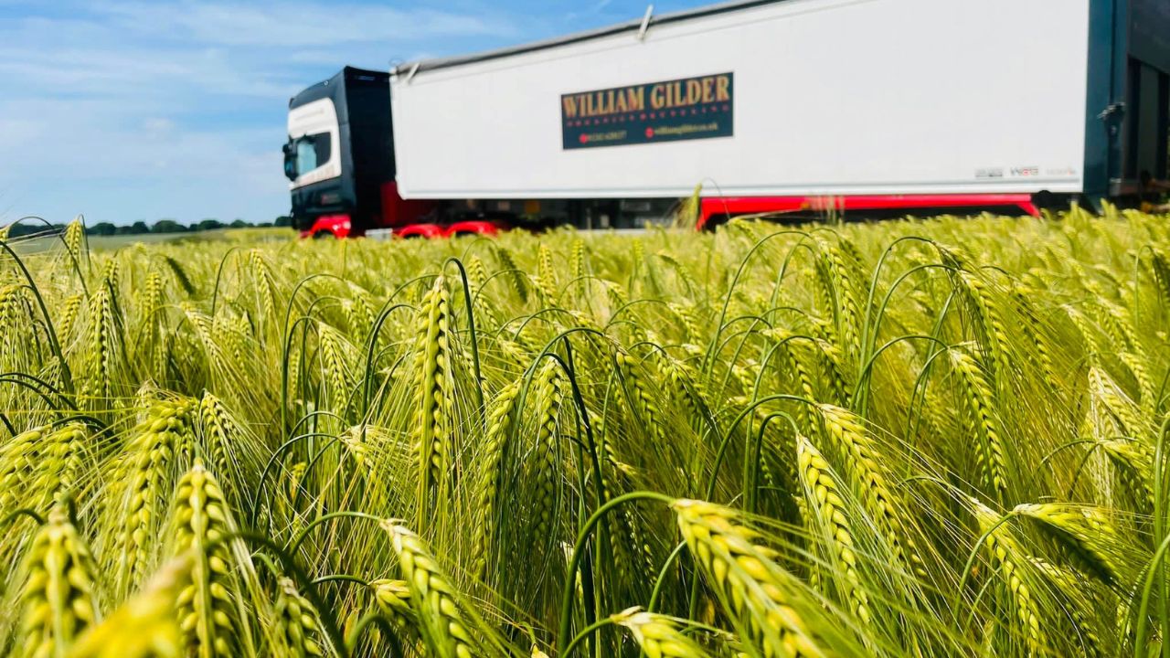 A lorry passing a cornfield