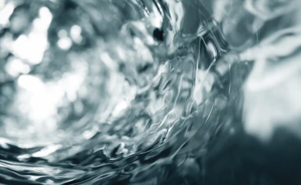 William Gilder Group - WGG Group